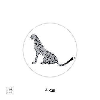 cheetah