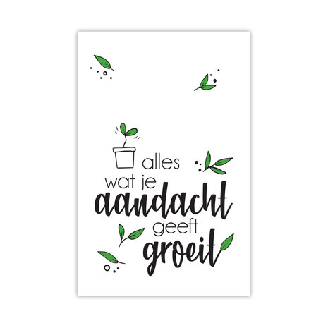 aandacht geeft groeit