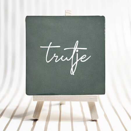 Tegel - trutje 1